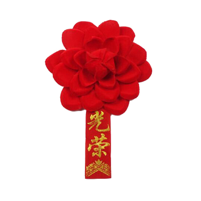 表彰大红花光荣胸花表彰花新兵入伍模范标兵颁奖光荣花19cm光荣10个