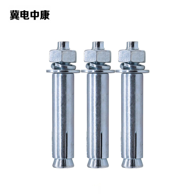 冀电中康 膨胀螺丝 10*120mm 颗