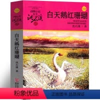 白天鹅红珊瑚 [正版]白天鹅红珊瑚沈石溪动物小说精品集系列儿童文学小学生课外书长篇单本作品全集珍藏版品藏书系大王升级版三