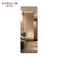 盛松林 穿衣镜 45*155cm个