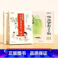 [全3册]作文金句800例+小学文学常识 小学通用 [正版]作文金句八百例800高分作文素材范文优美句子积累大全小学三四