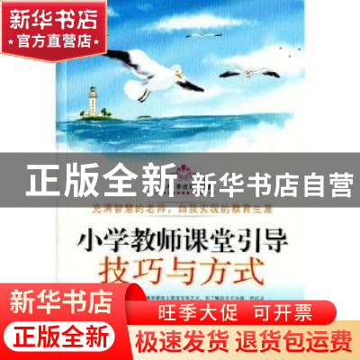 正版 小学教师课堂引导技巧与方式 王子木,李淑玉 白山出版社 978