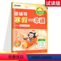 2-4年级多赠猿辅导寒假一本通试读版 二年级下 [正版]2024新万唯情境卷一二三四五六年级下册语文数学英语人教版北师大