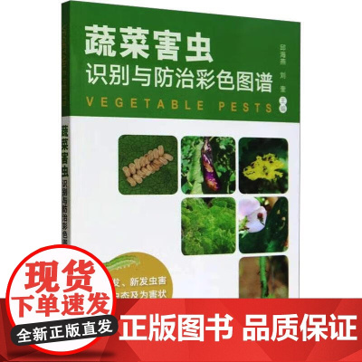 蔬菜害虫识别与防治彩色图谱 邱海燕,刘奎 著 中国农业出版社9787109309555
