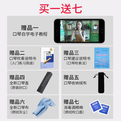 天鹅(TianE)口琴儿童初学者成人高级演奏24孔复音c调学生自学入门男女通