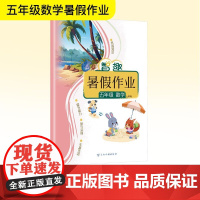智趣暑假作业 五年级 数学 人教版 李兵 编 小学教辅文教 正版图书籍 云南科技出版社