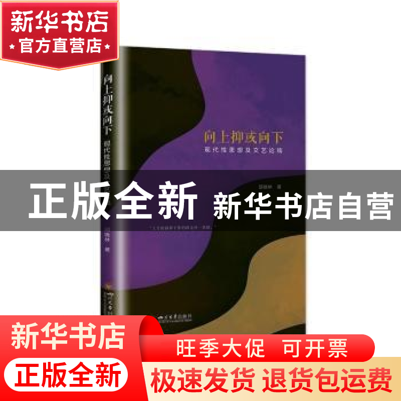 正版 向上抑或向下 : 现代性思想及文艺论稿 邱晓林 四川大学出版