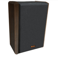 雷拓 RT-WA01A IP网络广播寻址壁挂 音箱 辅箱(单位:只)