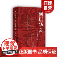 何以华夏:文物上的中华民族 翁淮南 主编 会说话的文物 历史故事读懂中国 文物历史 博物馆物质文化史 中华民族共同体 炎