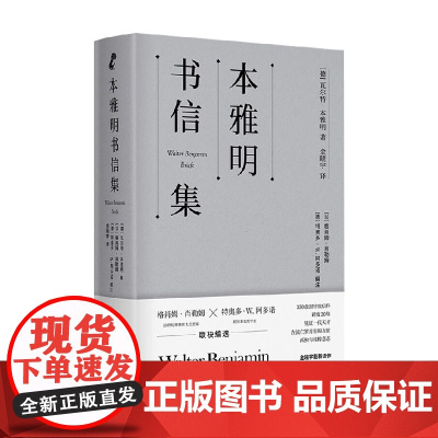 本雅明书信集 瓦尔特·本雅明 著 哲学