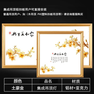 苏宁放心购 LED吸顶灯集成吊顶led灯平板灯铝扣面板厨房卫生间灯300*300*600嵌入式灯具