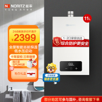 能率(NORITZ) 11升燃气热水器 全屋恒温巡航 多点用水恒温 智慧息屏 天然气强排式 11EA2FEX