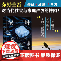 湖畔 东野圭吾 讨论亲情、教育的社会派推理小说 警惕愧疚式家庭教育 悬疑侦探小说 日本推理 果麦出品