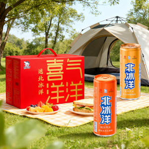 北冰洋 喜气洋洋汽水 桔汁+橙汁330ml*12罐