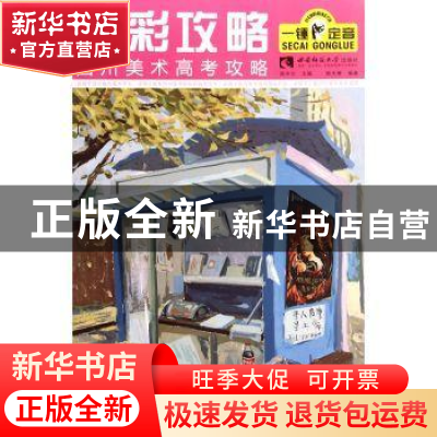 正版 色彩攻略 杨天勇编著 西南师范大学出版社 9787562169666 书