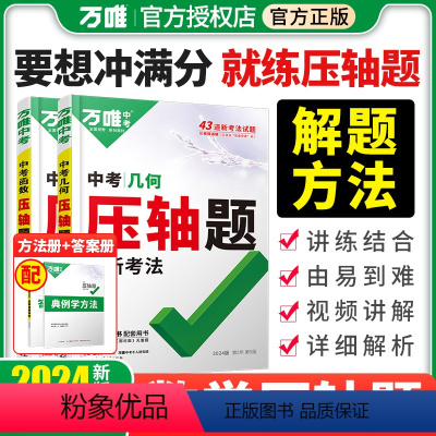 2本-数学[几何/函数] 初中通用 [正版]2024新版万唯中考数学压轴题几何二次函数套装初三初二八九年级初中几何真题复