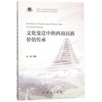 音像文化变迁中的西南民族价值传承郑涌等著