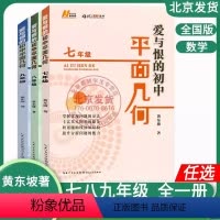 7-9年级[数学] 全国通用 [正版]2024版爱与恨的初中平面几何七八九年级初中数学培优新方法奥数思维拓展拔尖特训数学