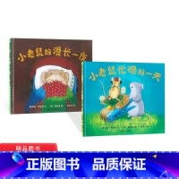 [正版]小老鼠的漫长一夜小老鼠忙碌的一天2册蒲蒲兰硬壳精装绘本图画书童书