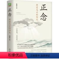 [正版]正念 照进乌云的阳光 吴艳茹 著 心理学社科 书店图书籍