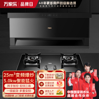 万家乐 25m³爆炒风挥手智控增压智吸 TAK8+AY5C 侧吸25立方大吸力油烟机 5.0KW燃气灶套装 天然气