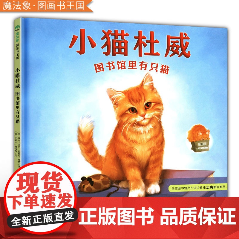 [正版]魔法象图画书王国小猫杜威-图书馆里有只猫(精装绘本) 9787559816658布赖特维特(美)陈诗艺 马玲