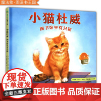 [正版]魔法象图画书王国小猫杜威-图书馆里有只猫(精装绘本) 9787559816658布赖特维特(美)陈诗艺 马玲