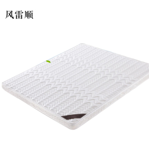 风雷顺椰棕床垫家用棕垫5cm防螨抗菌(0胶水天然椰棕+软硬两用+全拆洗)1000mm*2000mm