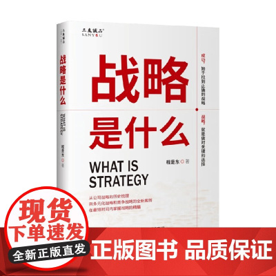 战略是什么 程是东 著 管理