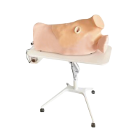 恒则卫勤 JF-B315胸部仿真模拟手术系统胸部仿真模型