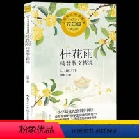 [正版]琦君散文精选 桂花雨适合五六年级学生看的课外书 琦君散文集