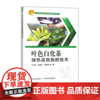 叶色白化茶绿色高效施肥技术