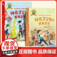 全2册 国宝不见了+智斗大神巫神龙寻宝队的探险日记 彩图注音 谷清平著一二三年级小学生课外阅读书籍带冒险侦探小说儿童文学