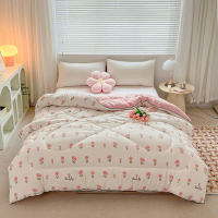 三水依梦柔肤春秋被200*230cm 条