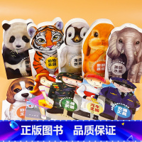 [全套10册]风靡英国的幼儿认知读本 [正版]风靡英国的幼儿认知读本 海底世界 0-3-6岁宝宝认知书撕不烂益智早教翻翻