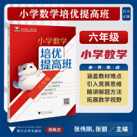 正版新书]小学数学培优提高班(六年级)张伟刚,张丽 著97873082