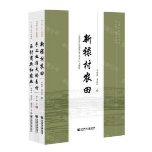 [N]云南三村再调查(共3册)/云南三村研究书系-9787520188937