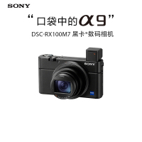索尼(SONY) DSC-RX100M7黑卡®数码相机24-200mm蔡司镜头 实时眼部对焦 4K HDR 视频拍摄
