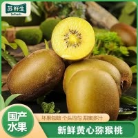 [苏鲜生]四川黄心猕猴桃 10枚装 (单果110g+特大果) 猕猴桃奇异果