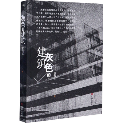 [M]灰色的建筑 夏国平 著 -9787549614981