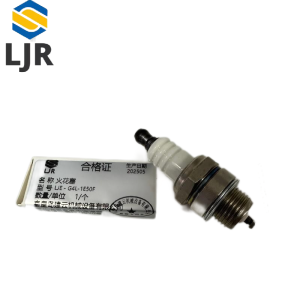 利冀尔 火花塞 LJE - G4L-1E50F 个