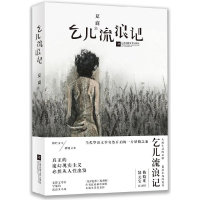 音像乞儿流浪记(精)夏商