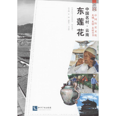 [M]中国名村-9787513019613