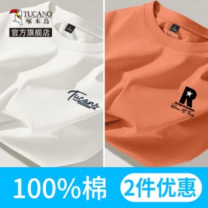 啄木鸟男士t恤夏季重磅纯棉短袖男款2025新款大码宽松男生半袖男Y