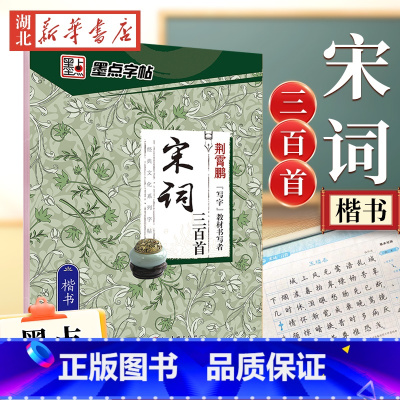 [正版]字帖 经典文化系列字帖 宋词三百首(楷书) 楷书练字儿童钢笔字帖硬笔书法字帖大学生硬笔书法练字本荆霄鹏楷书入门基