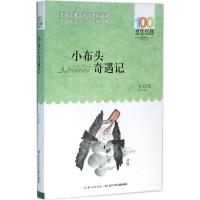 《小布头奇遇记》