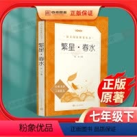 [正版]繁星春水 人民文学出版社 冰心儿童文学原著小学生三四五六年级课外阅读书籍必读书目 小学语文阅读丛书初中生课外