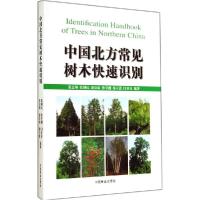 正版新书]中国北方常见树木快速识别张志翔 等编著978750387439