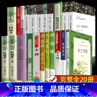 全20册 高中生阅读书籍一站式购齐 [正版]高中生必阅读课外书20册家巴金女神雷雨高老头呐喊子夜乡土中国大卫科波菲尔歌德