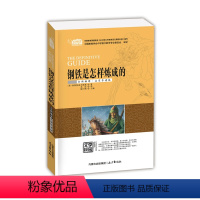 [正版] 钢铁是怎样炼成的 奥斯特洛夫斯基著 青少版 初中高中学生阅读课外书籍青少年励志书世界经典文学名著教辅文学读物